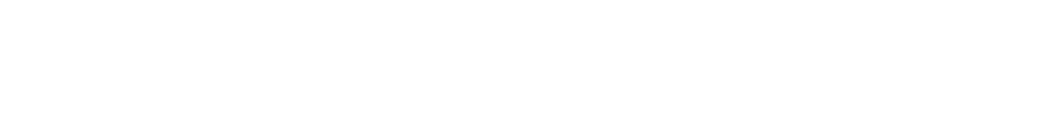 ChainSecurity logo